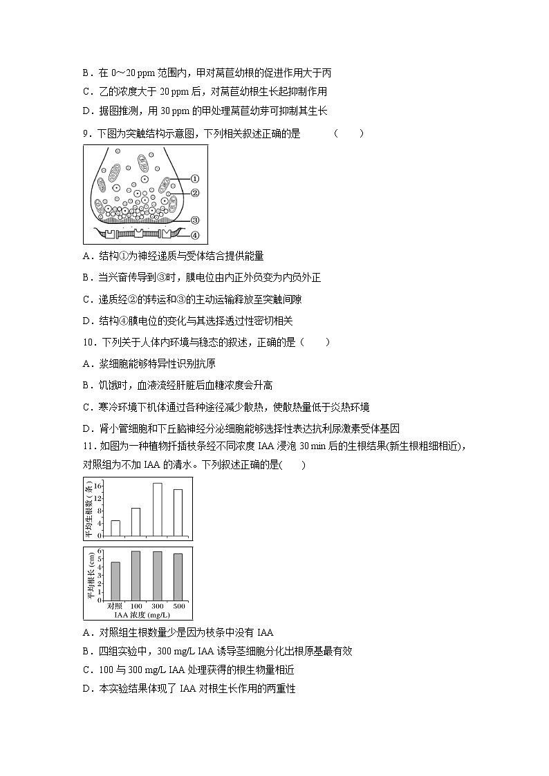 【生物】北京市昌平区新学道临川学校2019-2020学年高二上学期期中考试试题03