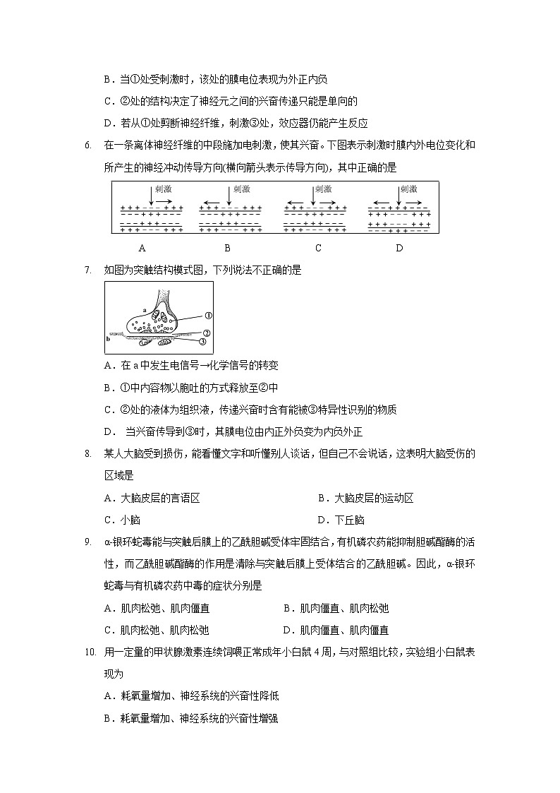 【生物】北京市丰台区2019-2020学年高二上学期期中考试（B卷）试题02