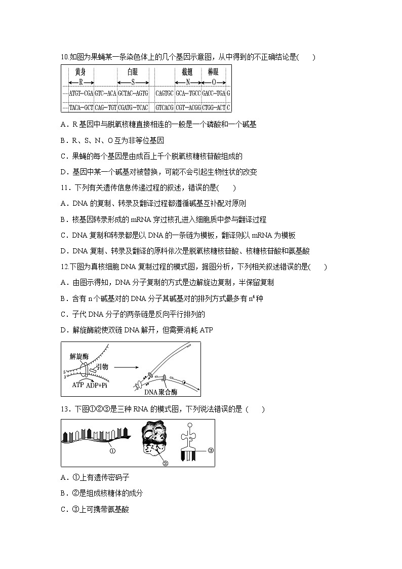 【生物】福建省福州市八县（市、区）一中2019-2020学年高二上学期期中联考试题第3页