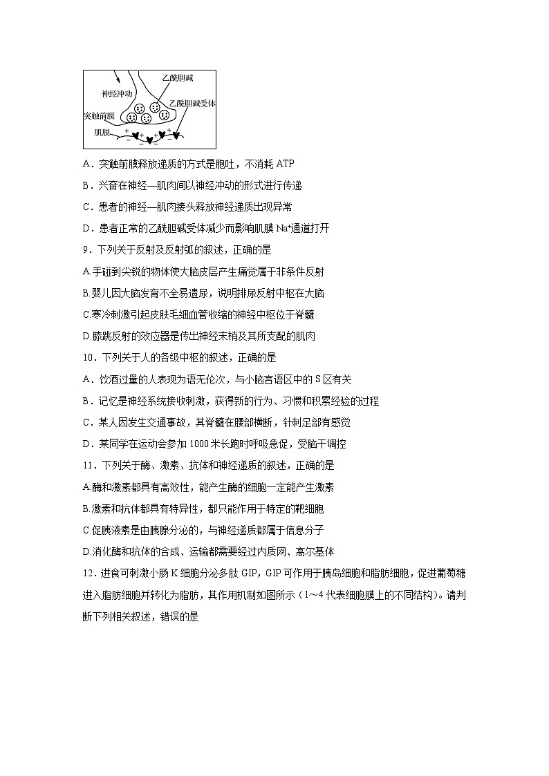 【生物】广西南宁市第三中学2019-2020学年高二上学期期中考试（理）试题03