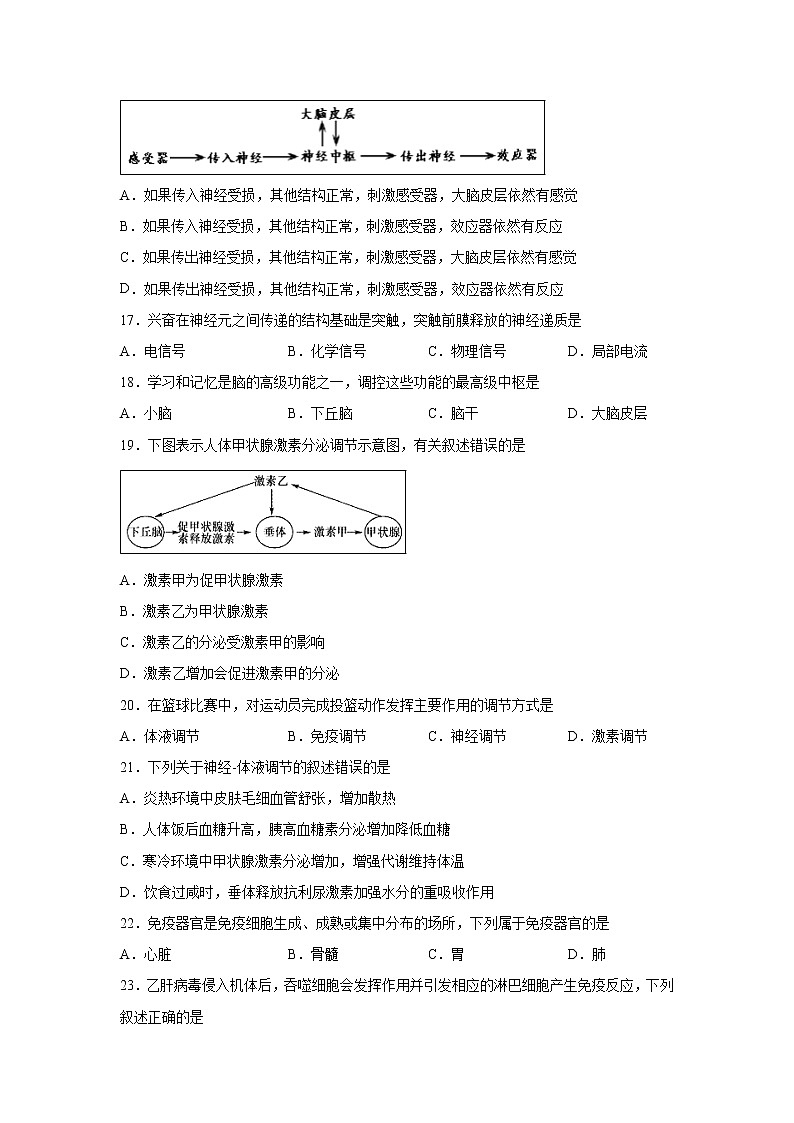 【生物】广西南宁市第三中学2019-2020学年高二上学期期中考试（文）试题03