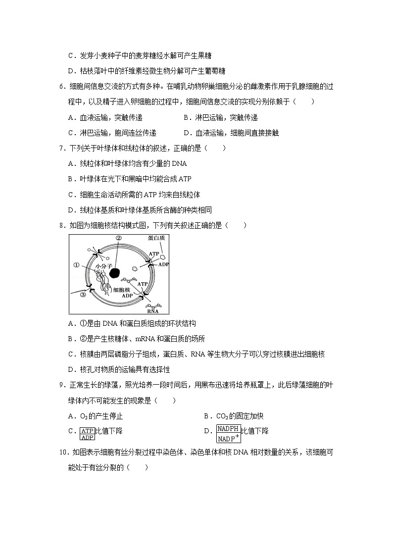 【生物】广西壮族自治区田阳高中2019-2020学年高二上学期期中考试试题（解析版）02