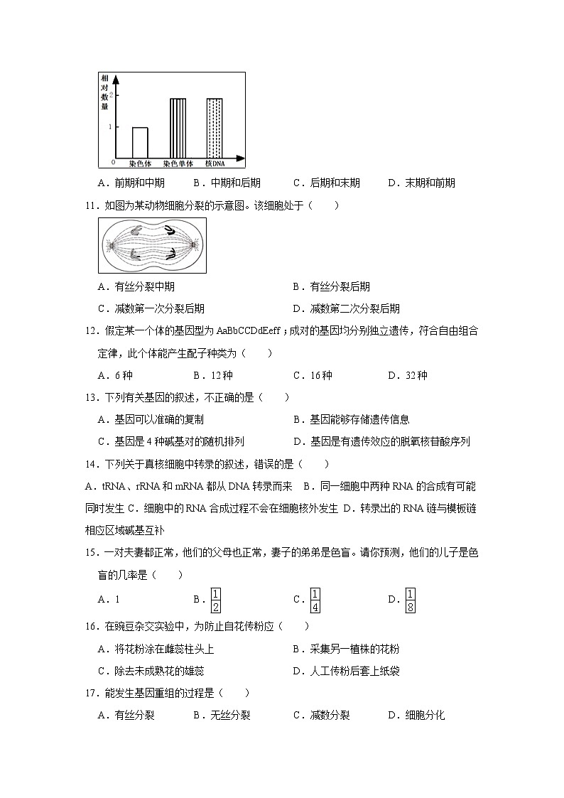 【生物】广西壮族自治区田阳高中2019-2020学年高二上学期期中考试试题（解析版）03