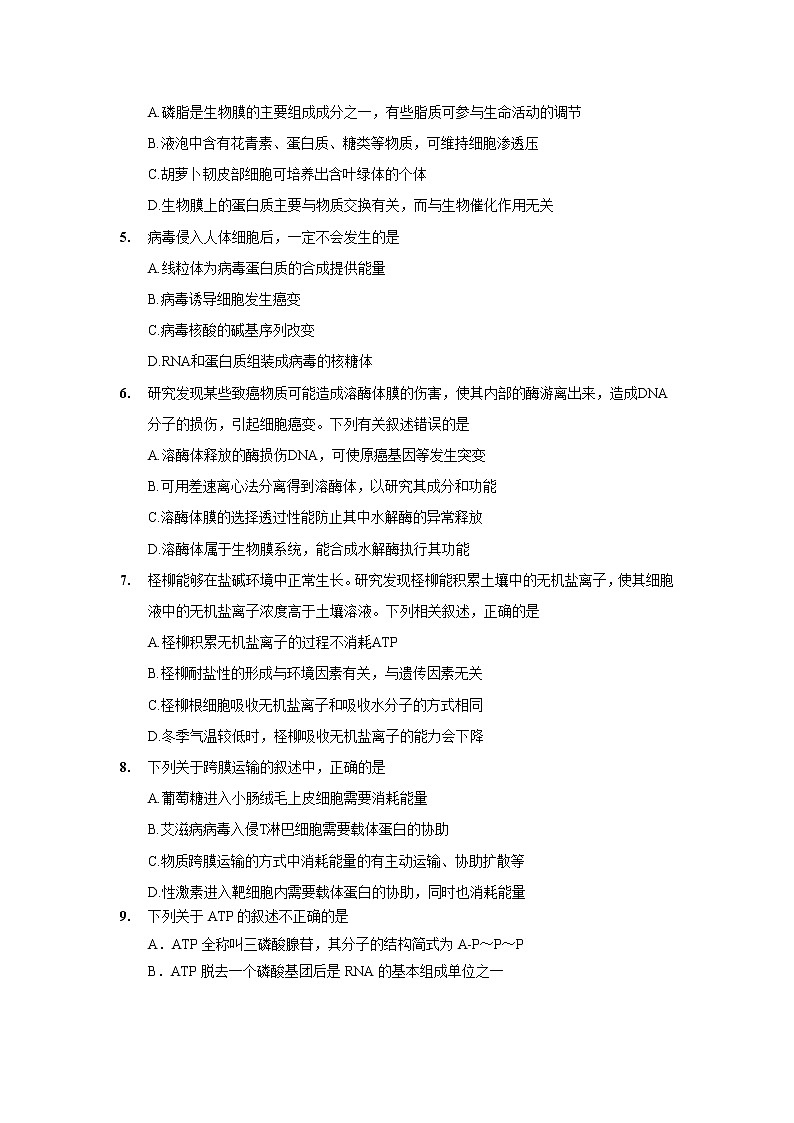 【生物】广西南宁市马山县金伦中学4 N高中联合体2019-2020学年高二上学期期中考试试题02