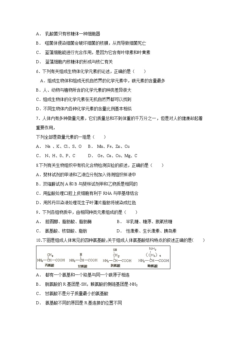 【生物】云南省云天化中学2019-2020学年高二9月月考试题02