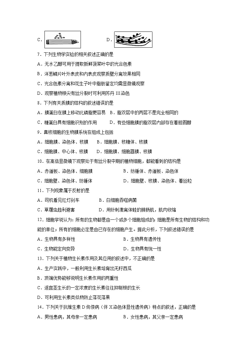 【生物】浙江省杭州市西湖高级中学2019-2020学年高二12月月考试题（选考）02