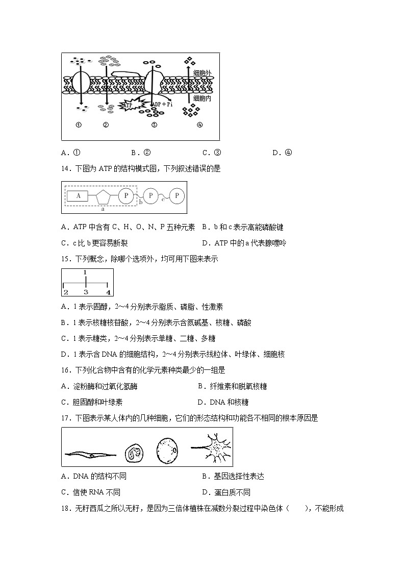 【生物】浙江省杭州市西湖高级中学2019-2020学年高二上学期10月月考试题（解析版）03