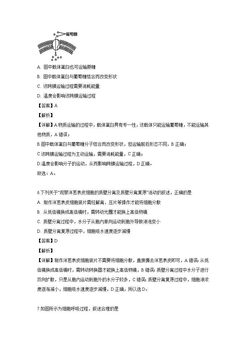 【生物】浙江省丽水市四校联考2019-2020学年高二（9月）试题（解析版）03