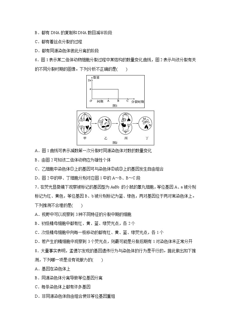 【生物】重庆市北碚区2019-2020学年高二11月联合性测试试题（解析版）02