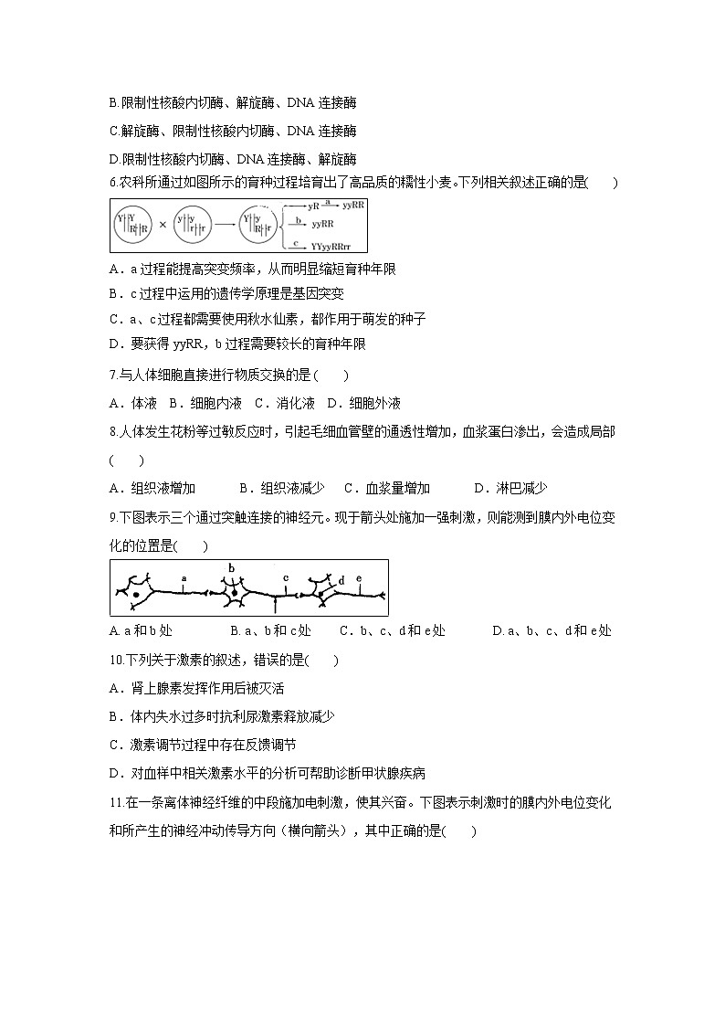 【生物】重庆市万州新田中学2019-2020学年高二10月月考试卷02