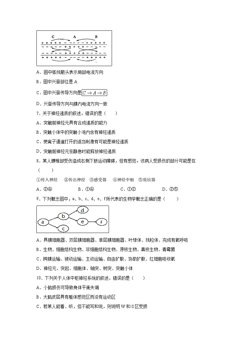 【生物】四川省遂宁市射洪中学2019-2020学年高二上学期期12月月考 试卷02