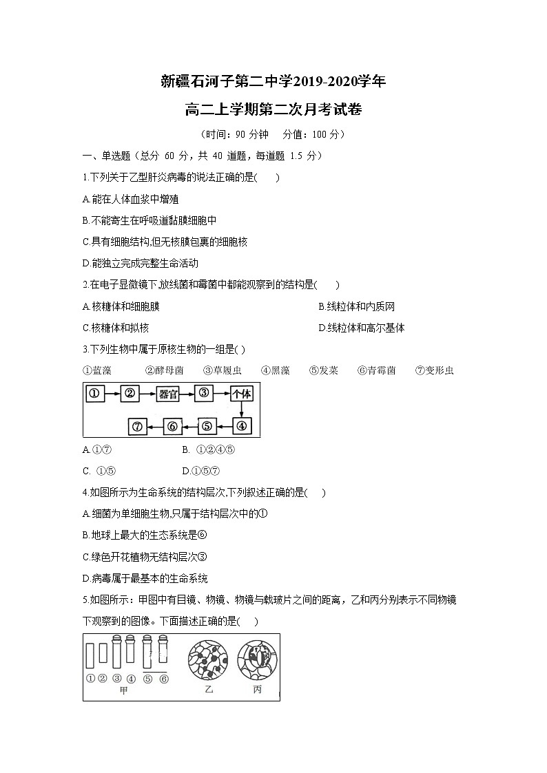 【生物】新疆石河子第二中学2019-2020学年高二上学期第二次月考试卷（解析版）第1页
