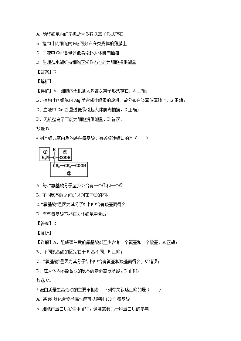 【生物】广西南宁三中2019-2020学年高二下学期月考试题（解析版）02