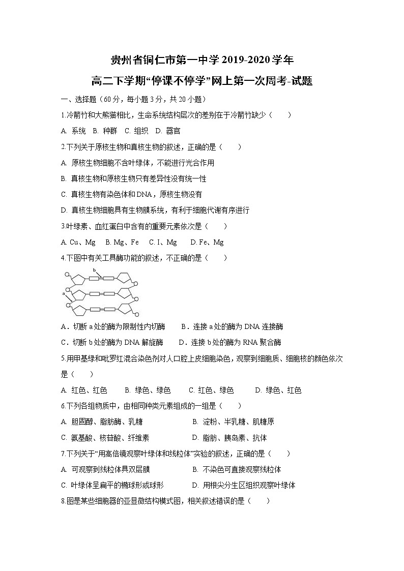 【生物】贵州省铜仁市第一中学2019-2020学年高二下学期“停课不停学”网上第一次周考-试题01