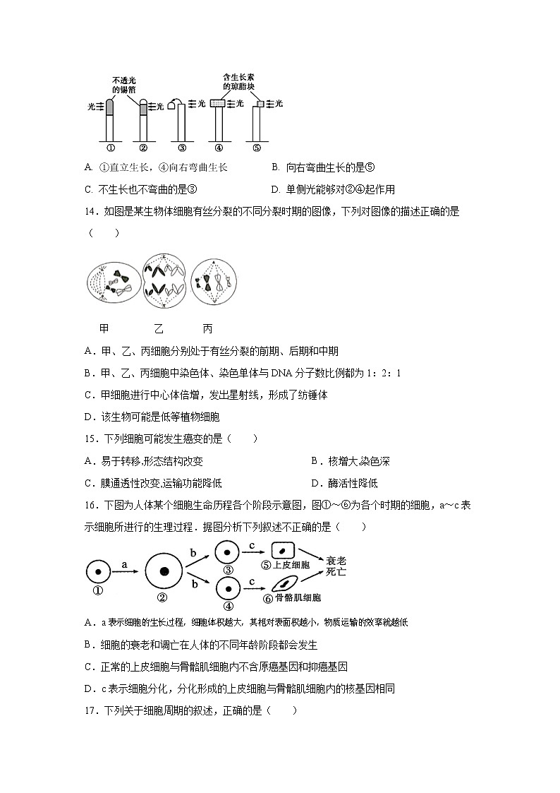 【生物】贵州省铜仁市第一中学2019-2020学年高二下学期“停课不停学”网上第一次周考-试题03