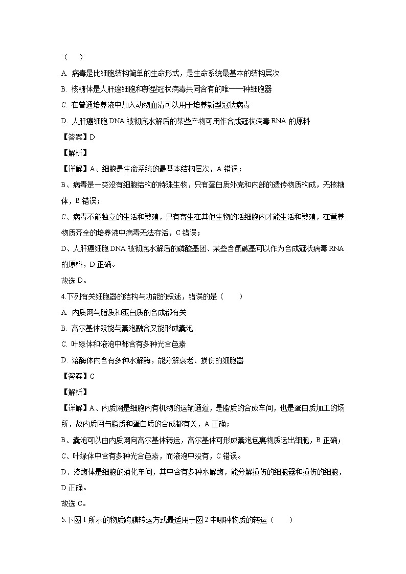 【生物】河北省“五个一”名校联盟2019-2020学年高二下学期6月联考试题（解析版）02