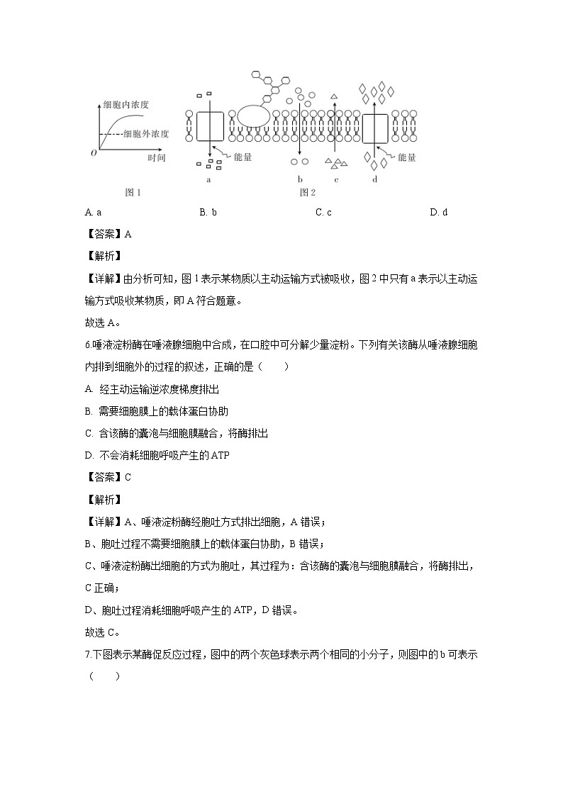 【生物】河北省“五个一”名校联盟2019-2020学年高二下学期6月联考试题（解析版）03