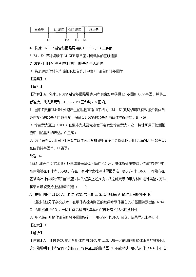【生物】河北省沧州市一中2019-2020学年高二4月月考试题（解析版）02