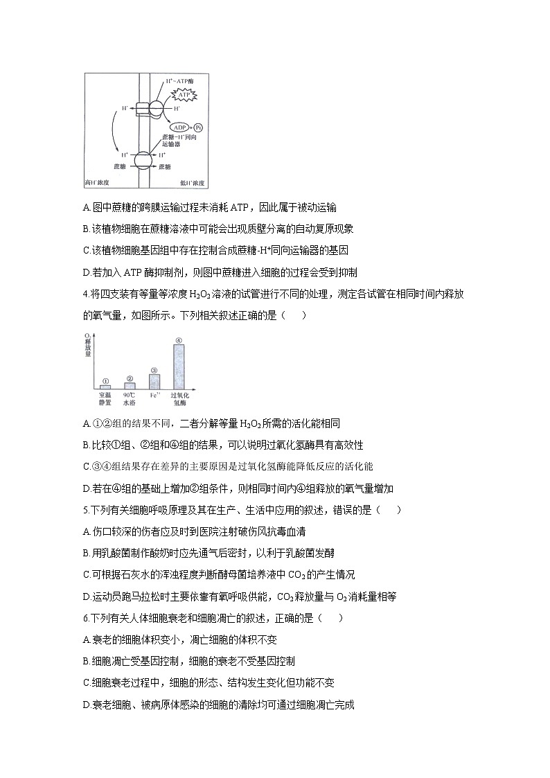 【生物】河南省顶级名校2019-2020学年高二下学期六月模拟考试试题（解析版）02