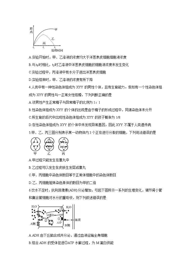 【生物】湖北省孝感市重点高中联考协作体2019-2020学年高二下学期联合考试（解析版）02