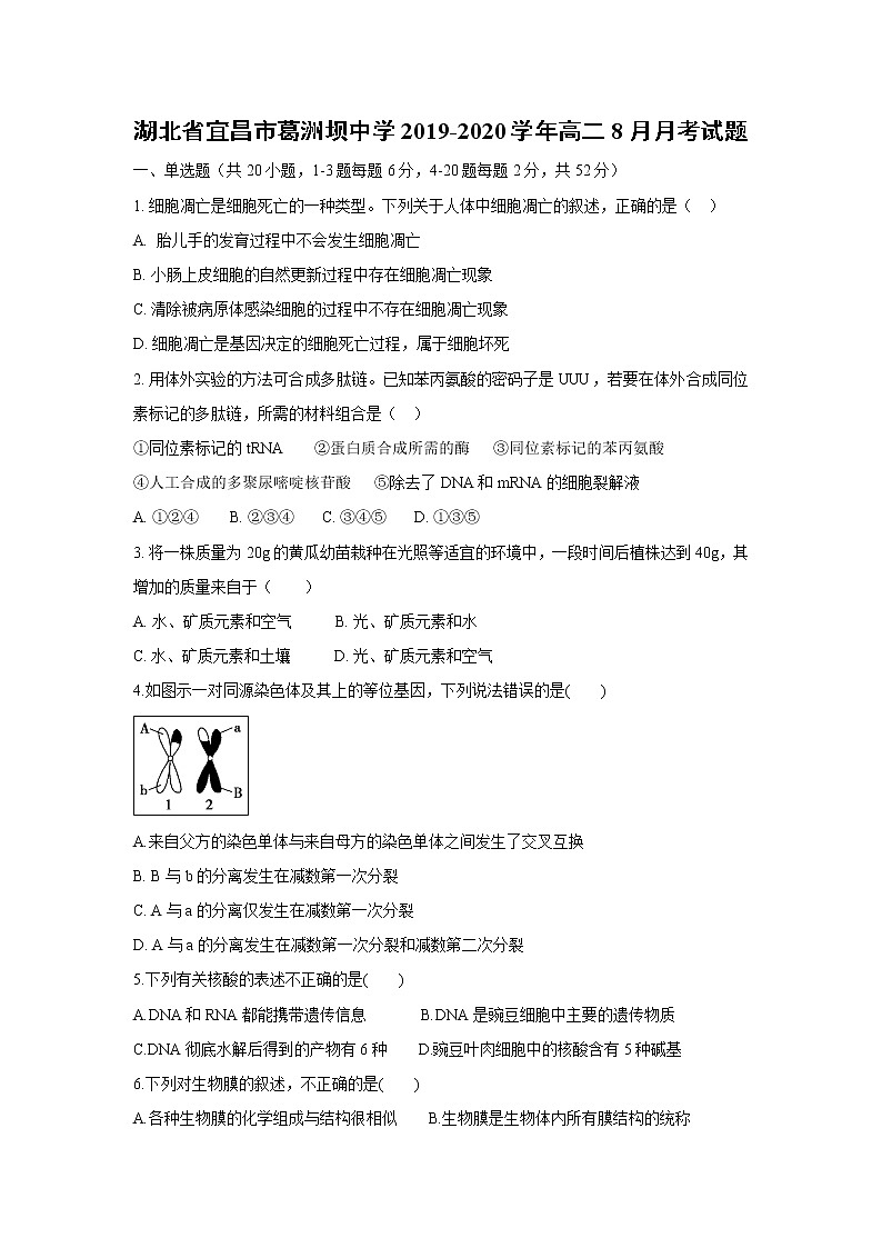 【生物】湖北省宜昌市葛洲坝中学2019-2020学年高二8月月考试题01