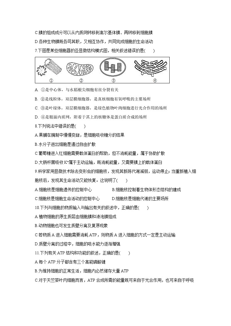 【生物】湖北省宜昌市葛洲坝中学2019-2020学年高二8月月考试题02