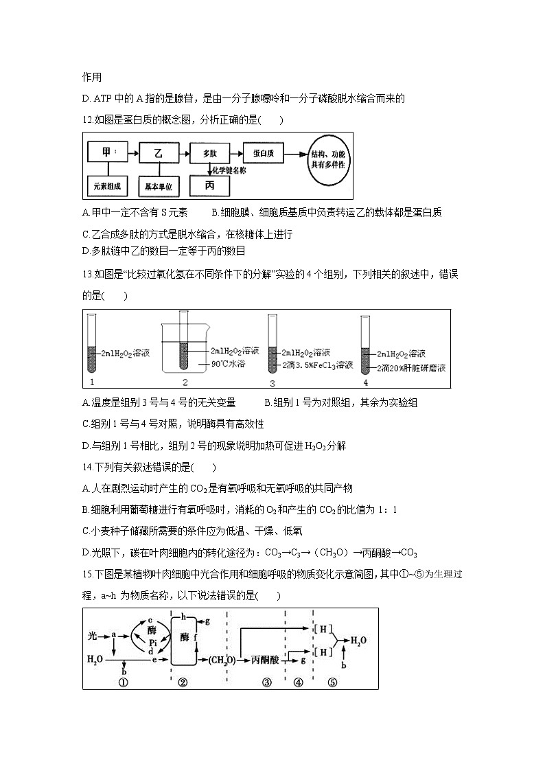 【生物】湖北省宜昌市葛洲坝中学2019-2020学年高二8月月考试题03