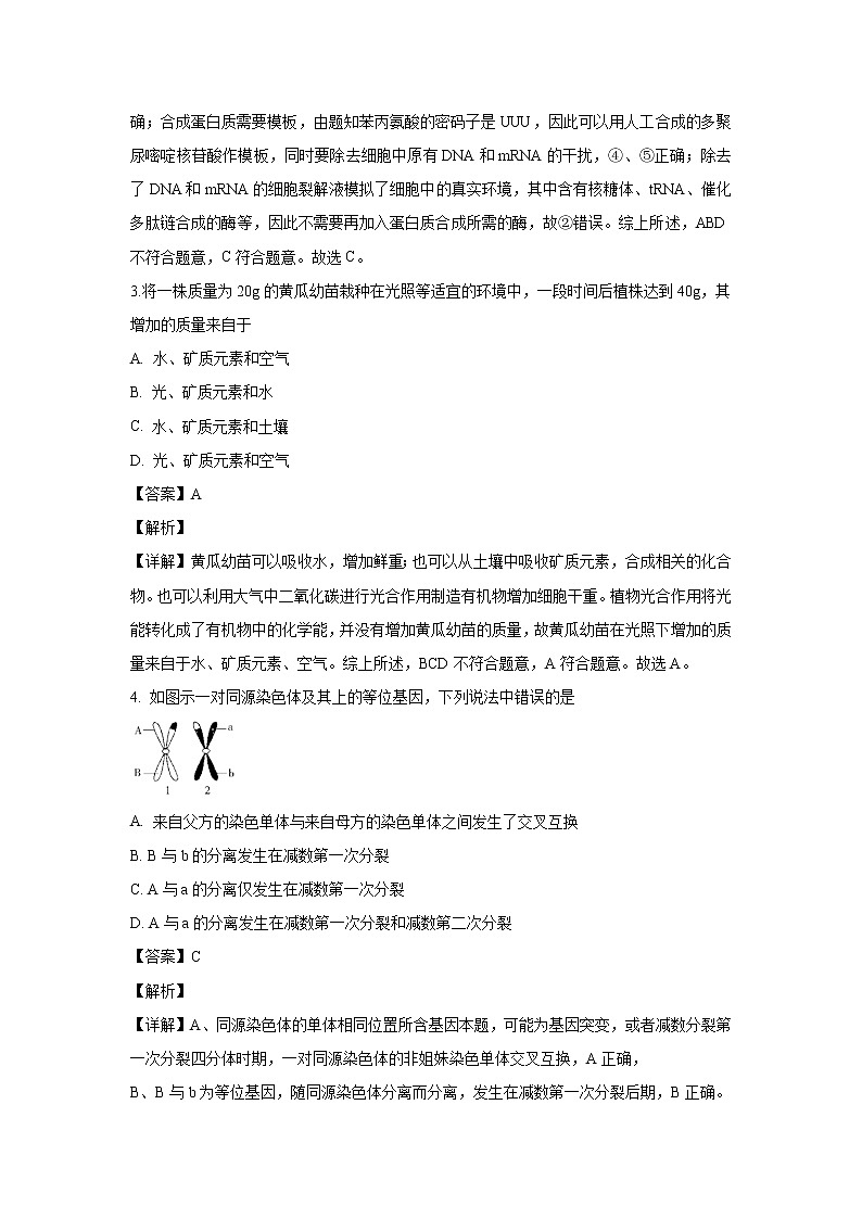 【生物】湖北省宜昌市葛洲坝中学2019-2020学年高二8月月考试题（解析版）02