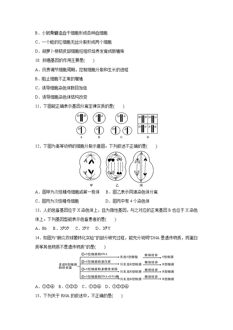 【生物】湖南省张家界市第一中学2019-2020学年高二下学期3月月考试题第3页