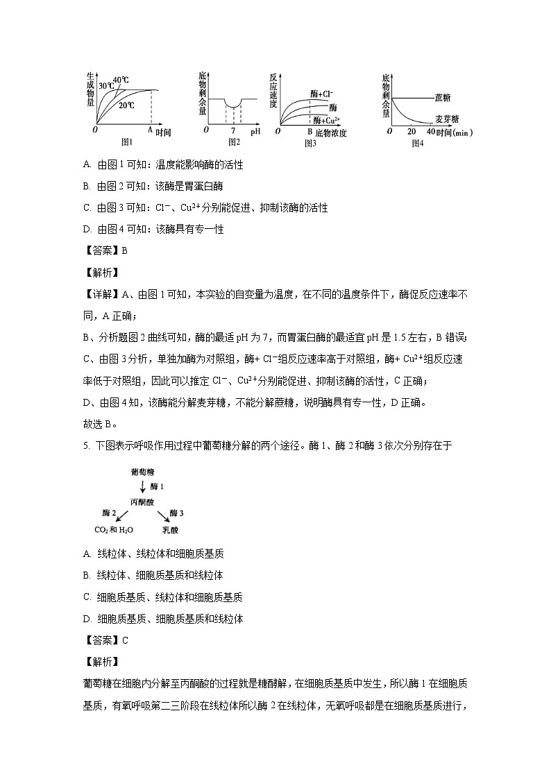 【生物】湖南省张家界市一中2019-2020学年高二3月月考试题（解析版）第2页