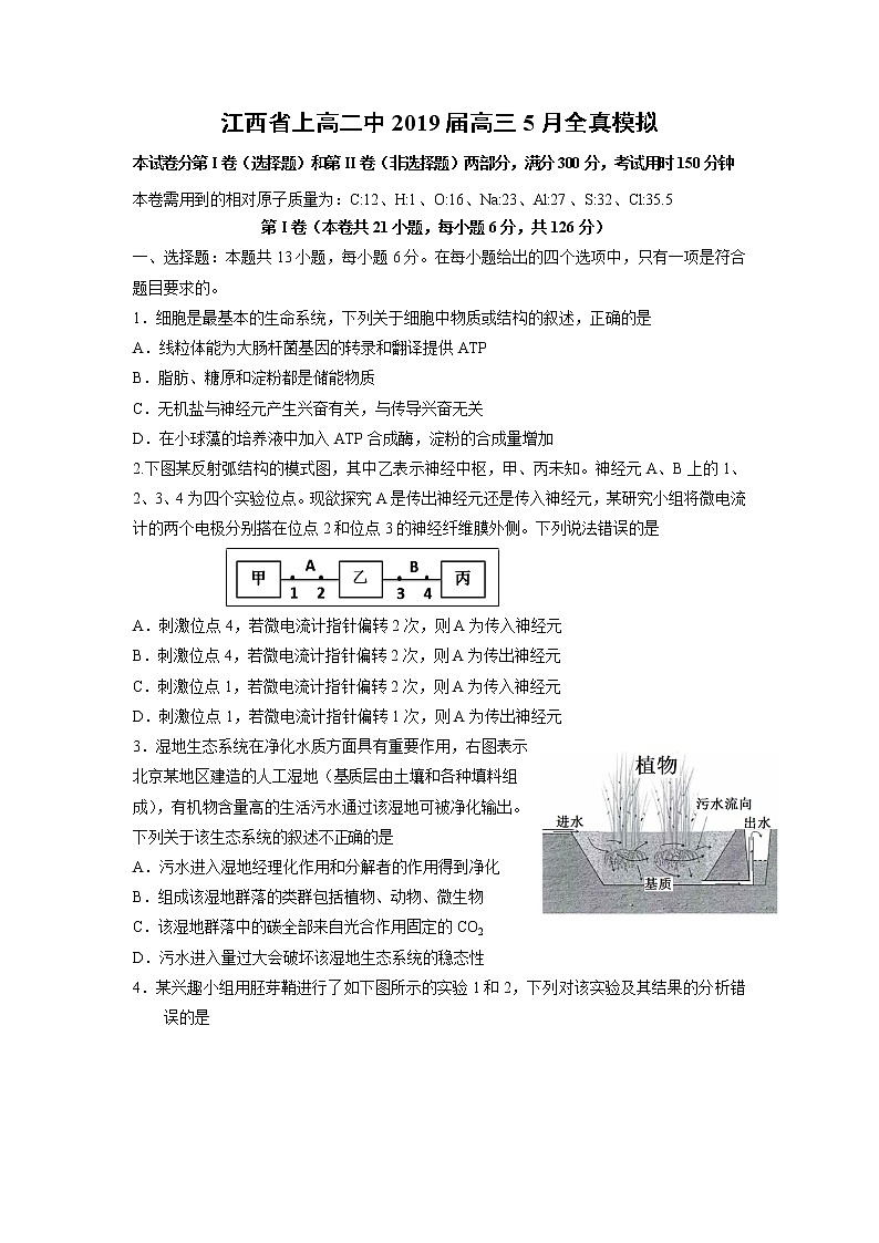 【生物】江西省上高二中2019届高三5月全真模拟 试卷01