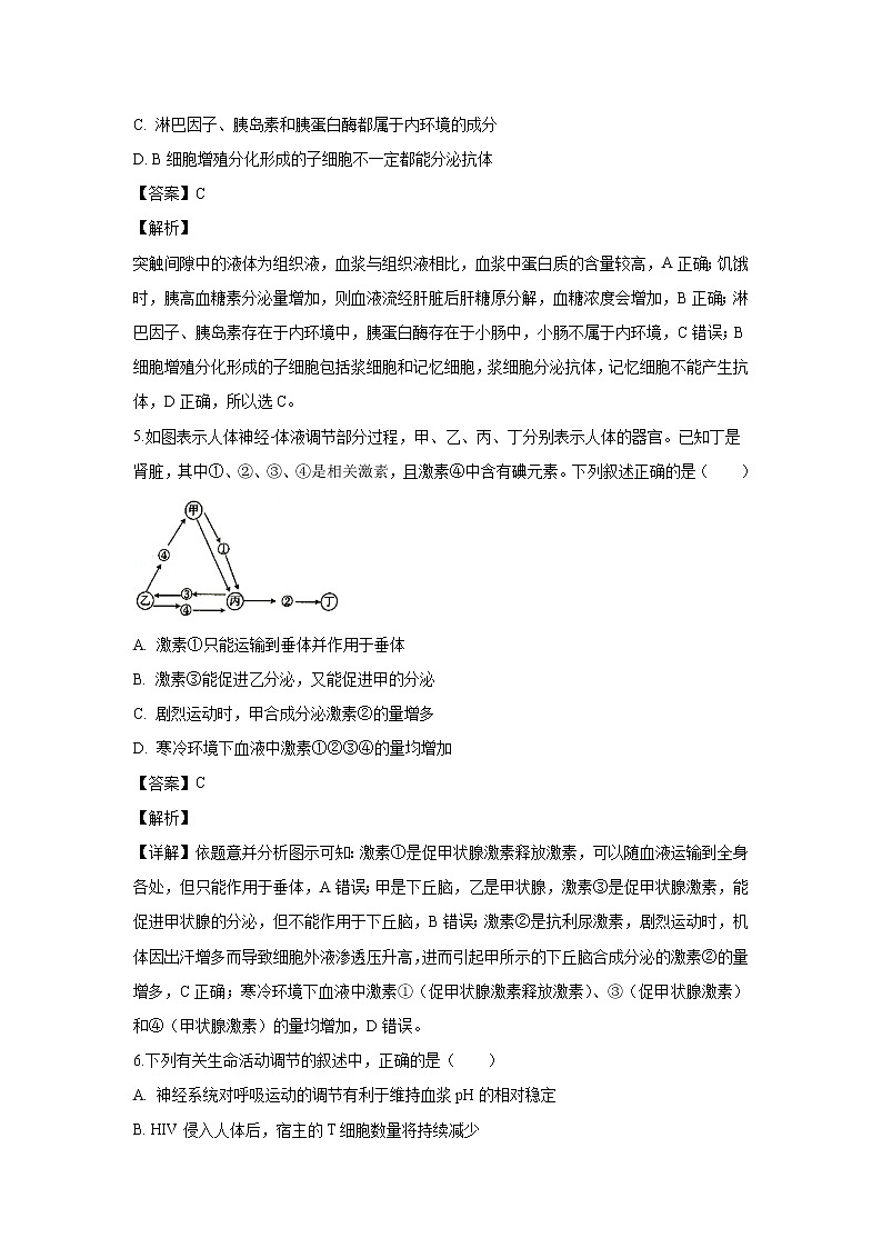 【生物】辽宁省沈阳市辽宁实验中学东戴河分校2019-2020学年高二（10月）月考试题（解析版）03