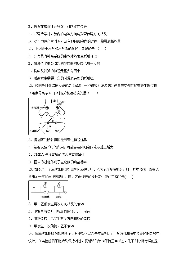 【生物】辽宁省沈阳铁路实验中学2019-2020学年高二10月月考试题第3页