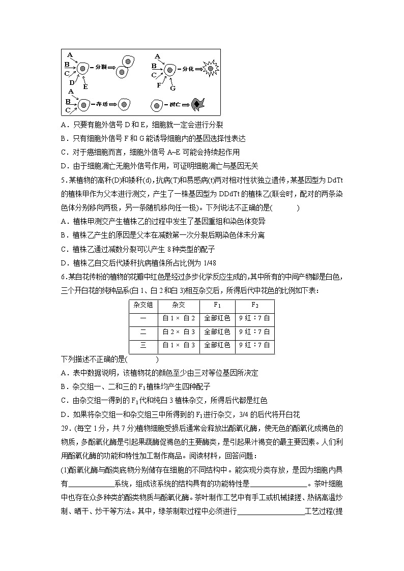 【生物】江西省上高二中2019届高三上学期第四次月考理科综合 试卷02