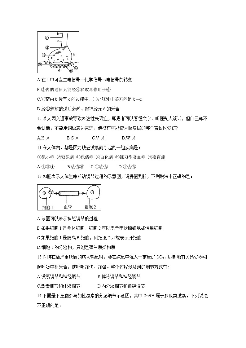 【生物】内蒙古赤峰二中2019-2020学年高二上学期第二次月考试题03
