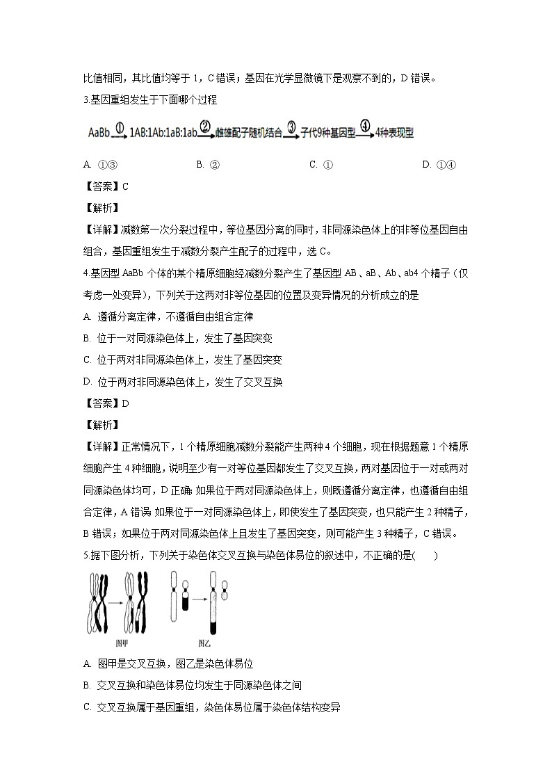 【生物】内蒙古自治区包头市北方重工业集团有限公司三中2019-2020学年高二10月月考试题（解析版）02