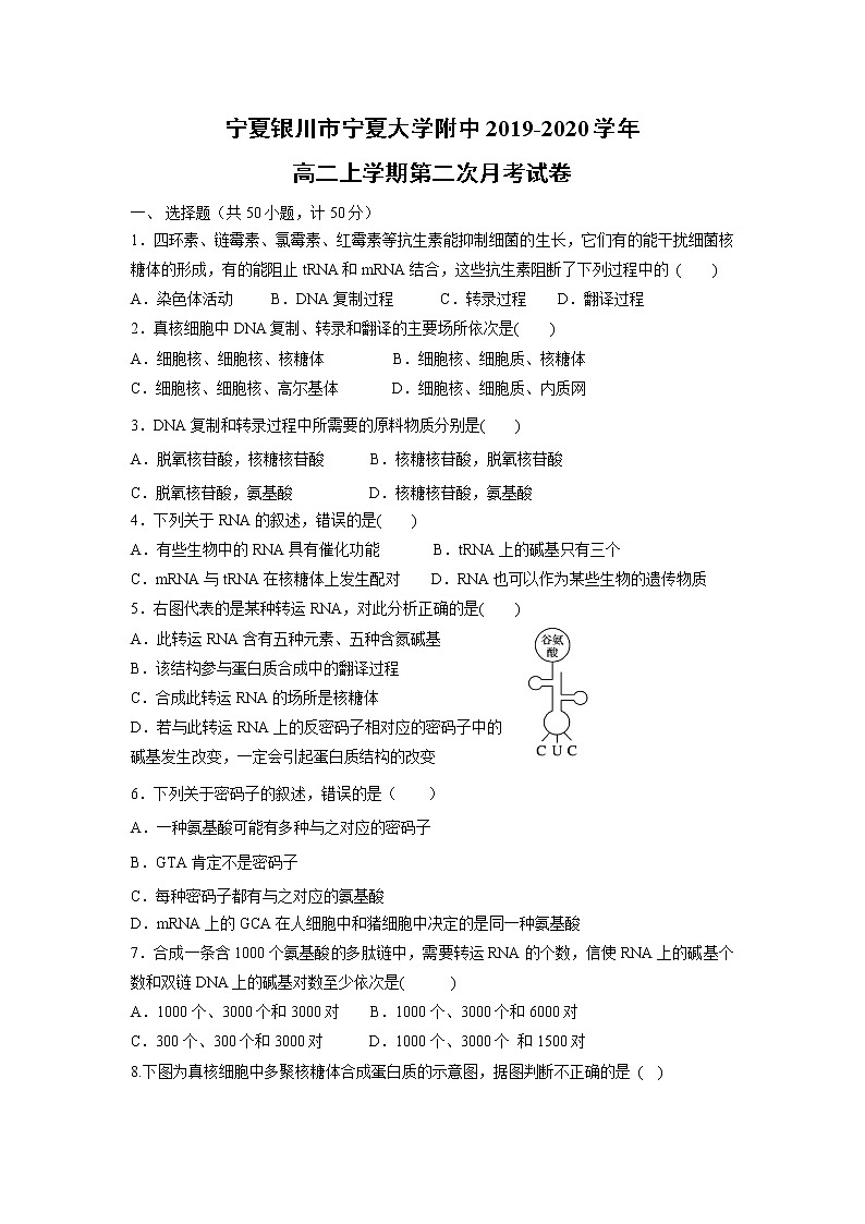 【生物】宁夏银川市宁夏大学附中2019-2020学年高二上学期第二次月考试卷01