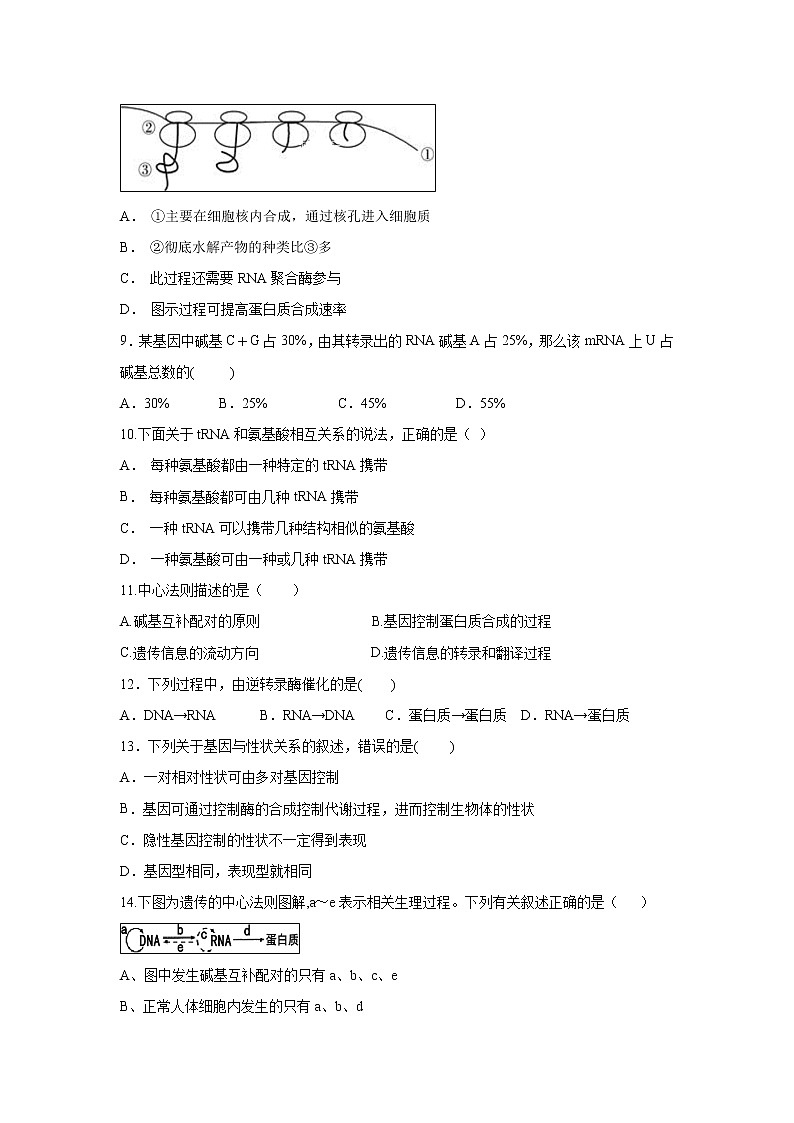 【生物】宁夏银川市宁夏大学附中2019-2020学年高二上学期第二次月考试卷02