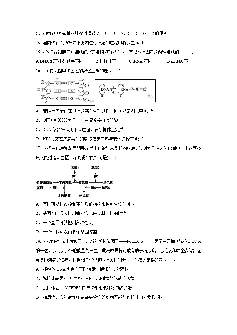 【生物】宁夏银川市宁夏大学附中2019-2020学年高二上学期第二次月考试卷03