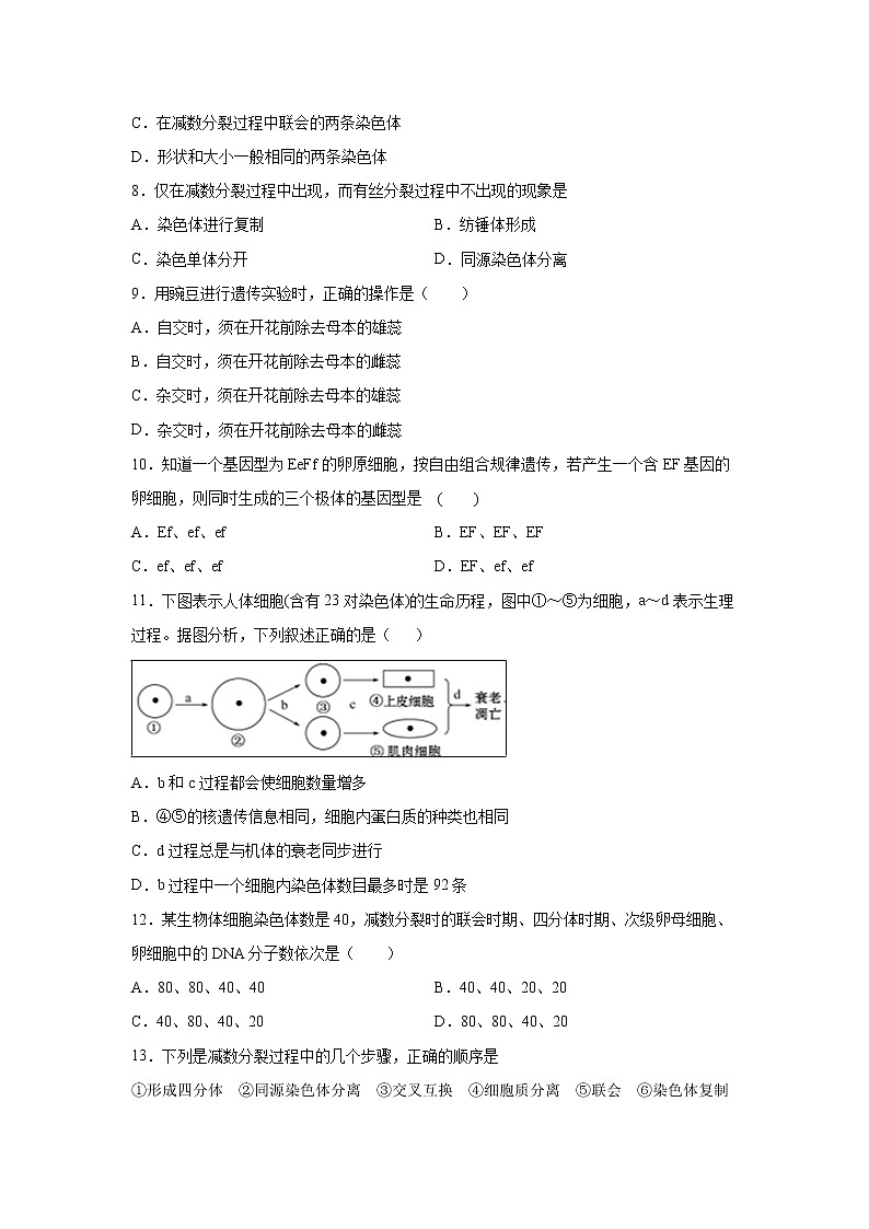 【生物】宁夏青铜峡市高级中学2019-2020学年高二上学期第二次月考试题02