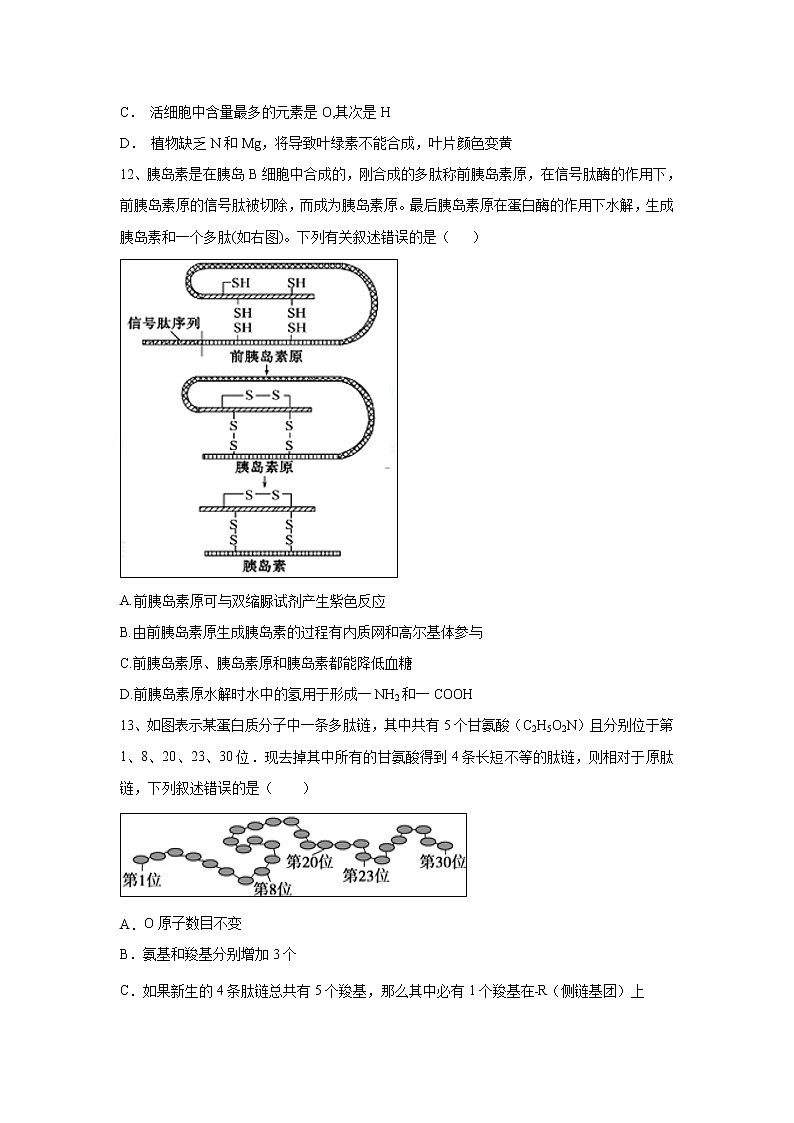 【生物】宁夏石嘴山市第三中学2019-2020学年高二10月月考试题03