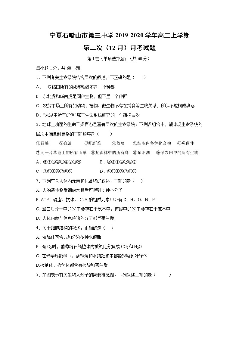 【生物】宁夏石嘴山市第三中学2019-2020学年高二上学期第二次（12月）月考试题01