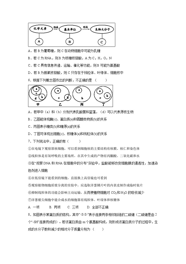 【生物】宁夏石嘴山市第三中学2019-2020学年高二上学期第二次（12月）月考试题02
