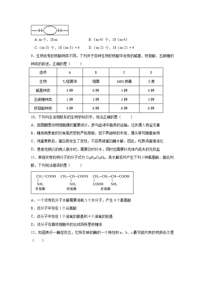 【生物】宁夏石嘴山市第三中学2019-2020学年高二上学期第二次（12月）月考试题03