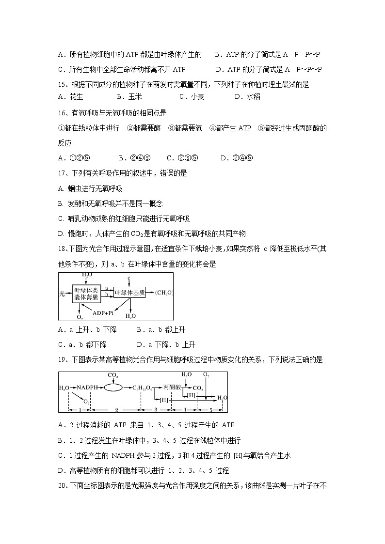【生物】宁夏育才中学孔德学区2019-2020学年高二上学期第二次月考试题03