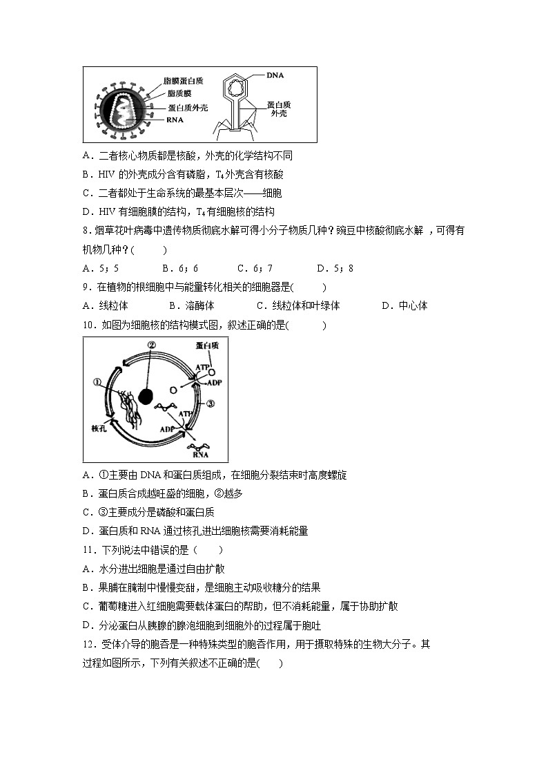 【生物】宁夏育才中学学益校区2019-2020学年高二上学期第二次月考试题02