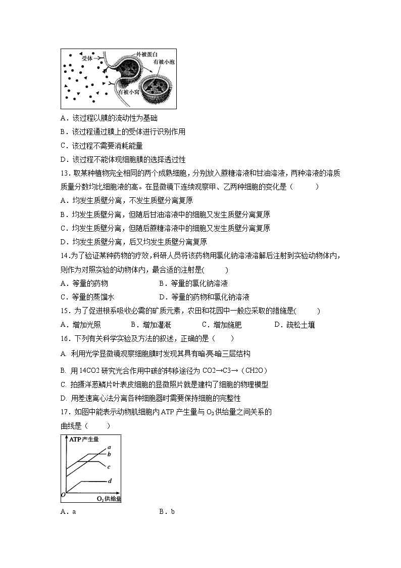 【生物】宁夏育才中学学益校区2019-2020学年高二上学期第二次月考试题03