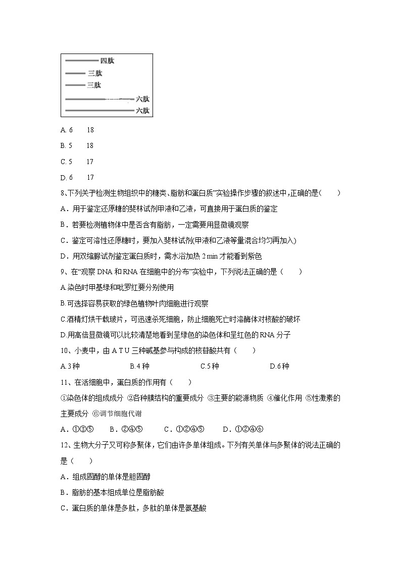 【生物】宁夏银川市兴庆区长庆高级中学2019-2020学年高二上学期第二次月考试卷02