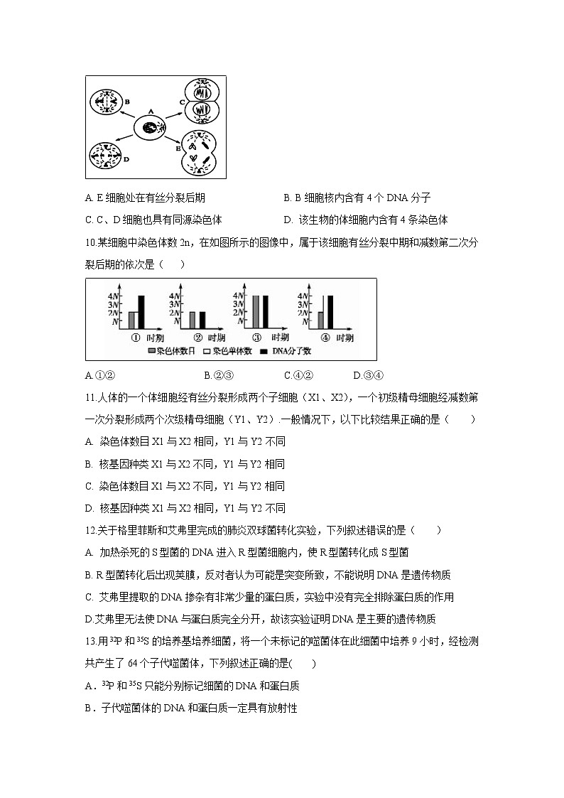 【生物】江西省宜春中学2019-2020学年高二上学期第二次月考试题03