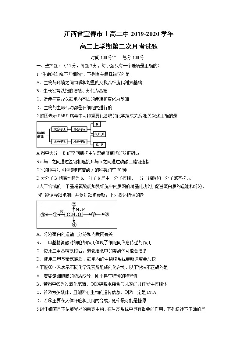 【生物】江西省宜春市上高二中2019-2020学年高二上学期第二次月考试题01